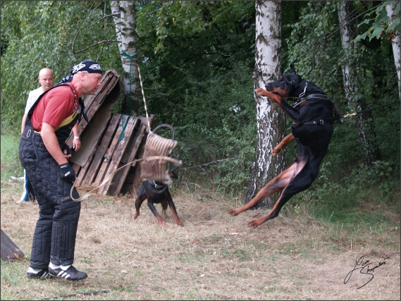 Summer training camp - Jelenec - 2007